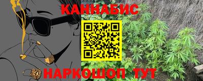 прущие грибы Северобайкальск