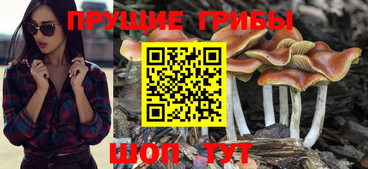 Галлюциногенные грибы GOLDEN TEACHER  Галлюциногенные грибы прущие грибы  Вход с VPN  Партизанск 